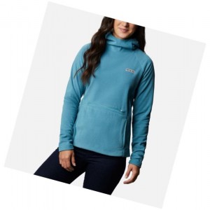 Columbia Ali Peak Hooded Fleece Kapşonlu Kadın Mavi | 81374-WUTM