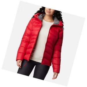 Columbia Autumn Park Down Hooded Mont Kadın Kırmızı | 80574-MLXQ