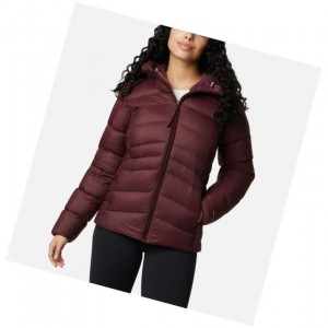 Columbia Autumn Park Down Hooded Mont Kadın Bordo | 14928-YDZF