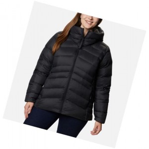 Columbia Autumn Park Down Hooded Plus Size Mont Kadın Siyah | 73102-XKCH