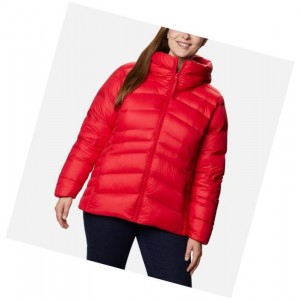 Columbia Autumn Park Down Hooded Plus Size Mont Kadın Kırmızı | 72639-ULTV