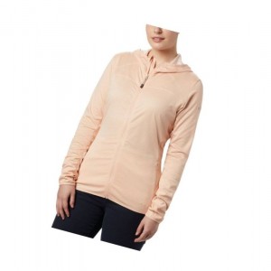 Columbia Baker Valley Hooded Fleece Mont Kadın Pembe | 97245-MJXE