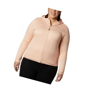 Columbia Baker Valley Hooded Fleece Mont Kadın Pembe | 96178-MTAS