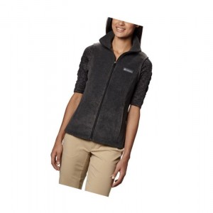 Columbia Benton Springs Petite Yelek Kadın Renkli | 42830-MUXK