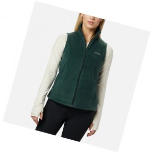 Columbia Benton Springs Petite Yelek Kadın Renkli | 13960-OZRY