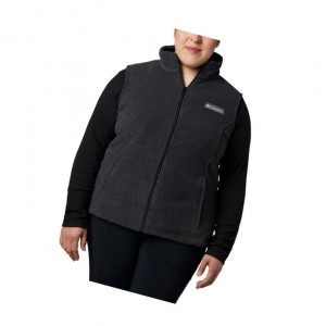 Columbia Benton Springs Plus Size Yelek Kadın Renkli | 74125-OZRB