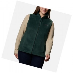 Columbia Benton Springs Yelek Kadın Renkli | 79301-OLAI