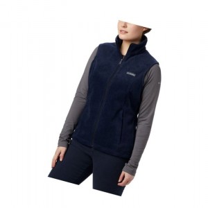 Columbia Benton Springs Yelek Kadın Renkli | 61927-BRZJ
