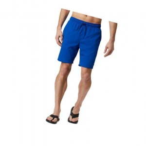 Columbia Blue Magic Water Şort Erkek Renkli | 14295-HIDN