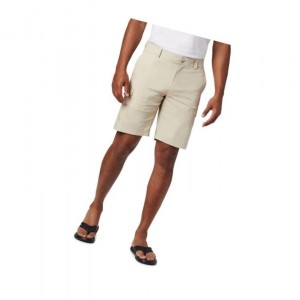 Columbia Brentyn Trail Cargo Big Şort Erkek Haki | 49563-NQHW