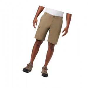 Columbia Brentyn Trail Casual Cargo Şort Erkek Zeytin Yeşili | 40319-RAIN