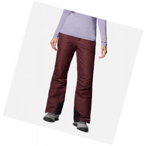 Columbia Bugaboo Omni-Heat Insulated Snow Pantolon Kadın Bordo | 40789-DOJT
