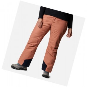 Columbia Bugaboo Omni-Heat Plus Size Pantolon Kadın Pembe | 72019-ORZX