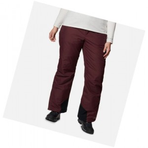 Columbia Bugaboo Omni-Heat Plus Size Pantolon Kadın Bordo | 52109-RFBG