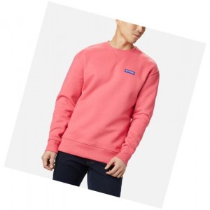 Columbia Bugasweat Crew Sweatshirt Erkek Açık Pembe Mavi | 40735-DGER