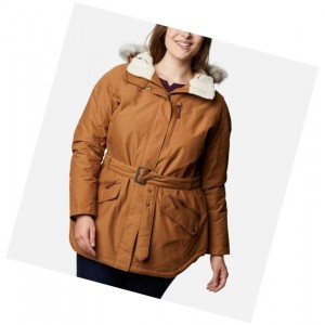 Columbia Carson Pass II Plus Size Mont Kadın Kahverengi | 76183-TOWC