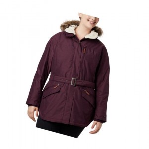 Columbia Carson Pass II Plus Size Mont Kadın Siyah Pembe | 31546-MCOD