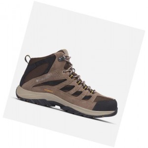 Columbia Crestwood Mid Waterproof Yürüyüş Botu Erkek Koyu Kahverengi Gri | 74196-JSKA