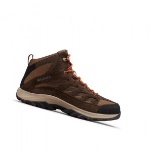 Columbia Crestwood Mid Waterproof Yürüyüş Botu Erkek Koyu Kahverengi | 45907-RQXB