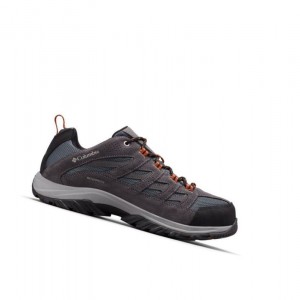 Columbia Crestwood Waterproof Yürüyüş Ayakkabısı Erkek Koyu Gri | 70642-KPZB