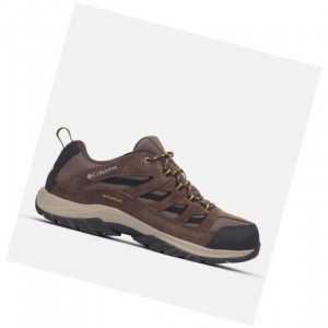 Columbia Crestwood Waterproof Yürüyüş Ayakkabısı Erkek Gri | 28910-GYUA