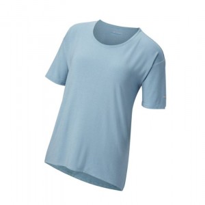 Columbia Fairview II Short Sleeve Tişört Kadın Gri Mavi | 63510-VXBU