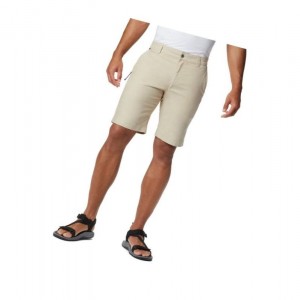 Columbia Flex ROC Big Şort Erkek Haki | 71653-XMQE