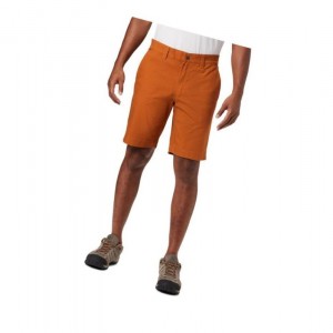 Columbia Flex ROC Şort Erkek Kahverengi | 53649-WBYD