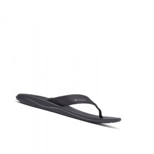 Columbia Flip Flop Terlik Erkek Siyah Gri | 59670-SKIG