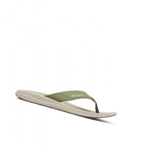 Columbia Flip Flop Terlik Erkek Yeşil Altın Sarı | 76294-IQTO