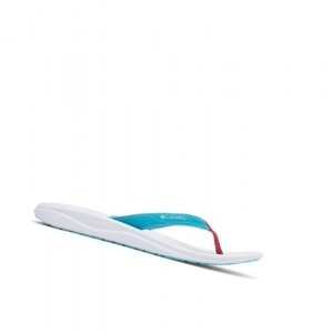 Columbia Flip Sandal Terlik Kadın Mavi | 63780-EUQL