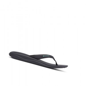 Columbia Flip Sandal Terlik Kadın Siyah Bakır | 05982-ZTLV