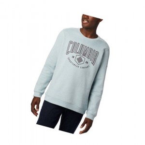 Columbia Hart Mountain Graphic Sweatshirt Erkek Mavi | 96054-YIEC