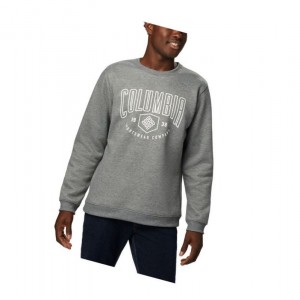 Columbia Hart Mountain Graphic Sweatshirt Erkek Gri | 27983-EIOQ