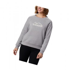Columbia Hart Mountain Long Sleeve Graphic Crew Sweatshirt Kadın Gri | 01564-ZMNP