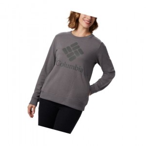 Columbia Lodge Crew Sweatshirt Kadın Gri | 04281-UKTQ