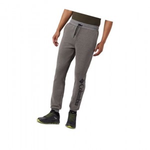 Columbia Lodge Double Knit Jogger Pantolon Erkek Gri | 29036-RMUN
