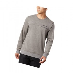Columbia Lodge Double Knit Sweatshirt Erkek Gri Siyah | 27059-RYMQ