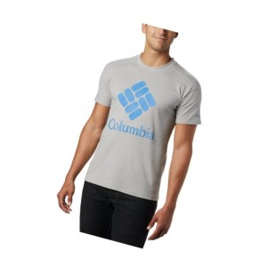 Columbia Lodge Logo Tişört Erkek Gri Mavi Mavi | 54906-PCRE