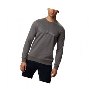 Columbia Logo Fleece Crew Big Sweatshirt Erkek Gri Siyah | 84752-PEGB