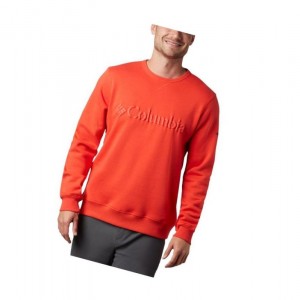 Columbia Logo Fleece Crew Sweatshirt Erkek Haki | 30892-JWZE