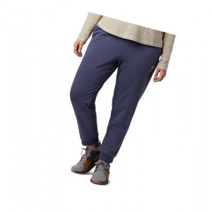 Columbia Logo French Terry Jogger Plus Size Pantolon Kadın Lacivert | 41932-HAZL