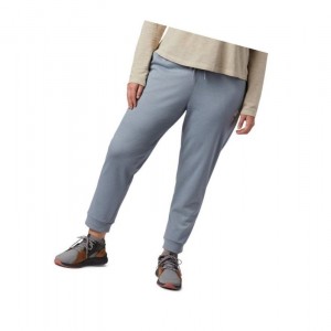 Columbia Logo French Terry Jogger Plus Size Pantolon Kadın Gri | 23195-ILPE