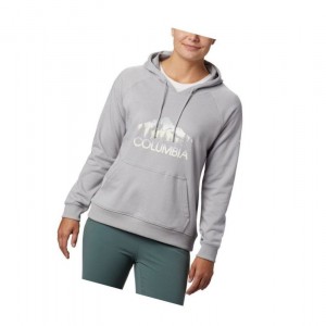 Columbia Logo French Terry Kapşonlu Kadın Gri | 67012-TJNO