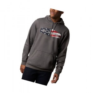Columbia Mount Mitchell Kapşonlu Erkek Gri | 39051-QTDB