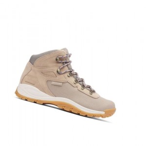 Columbia Newton Ridge Canvas Waterproof Wide Yürüyüş Botu Erkek Kahverengi Kraliyet Mavisi | 47398-PZVE