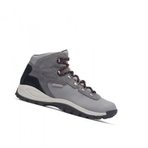 Columbia Newton Ridge Canvas Waterproof Yürüyüş Botu Erkek Titanyum Kırmızı | 34715-HTBF