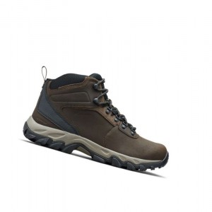 Columbia Newton Ridge Plus II Waterproof Yürüyüş Botu Erkek Koyu Kahverengi Gri | 84310-XCHA