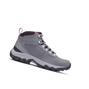 Columbia Newton Ridge Plus II Waterproof Wide Yürüyüş Botu Erkek Gri | 70628-BCXS