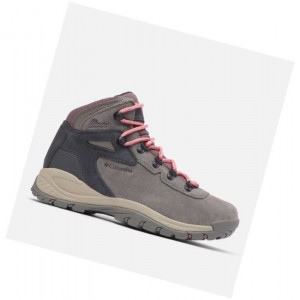 Columbia Newton Ridge Plus Waterproof Amped Yürüyüş Botu Kadın Pembe | 95641-VJGA